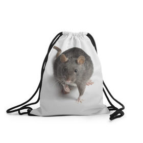 Рюкзак-мешок 3D с принтом Крыса в Белгороде, 100% полиэстер | плотность ткани — 200 г/м2, размер — 35 х 45 см; лямки — толстые шнурки, застежка на шнуровке, без карманов и подкладки | животные | крыса | мышка | мышь