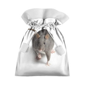 Подарочный 3D мешок с принтом Крыса в Белгороде, 100% полиэстер | Размер: 29*39 см | Тематика изображения на принте: животные | крыса | мышка | мышь