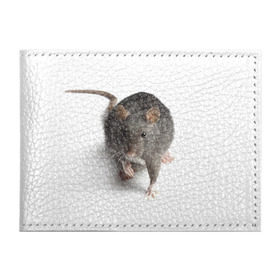 Обложка для студенческого билета с принтом Крыса в Белгороде, натуральная кожа | Размер: 11*8 см; Печать на всей внешней стороне | Тематика изображения на принте: животные | крыса | мышка | мышь