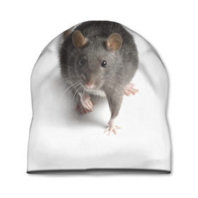 Шапка 3D с принтом Крыса в Белгороде, 100% полиэстер | универсальный размер, печать по всей поверхности изделия | животные | крыса | мышка | мышь