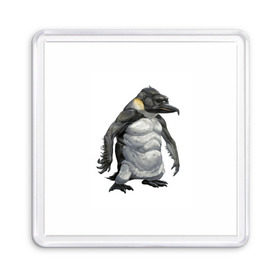 Магнит 55*55 с принтом Пингвинопитек в Белгороде, Пластик | Размер: 65*65 мм; Размер печати: 55*55 мм | лженаука | пингвин