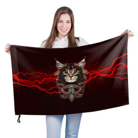Флаг 3D с принтом Electro cat в Белгороде, 100% полиэстер | плотность ткани — 95 г/м2, размер — 67 х 109 см. Принт наносится с одной стороны | cat | взгляд | кот | кот хипстер | котёнок | котятки | кошка | молния | мордочка | разряд | электричество