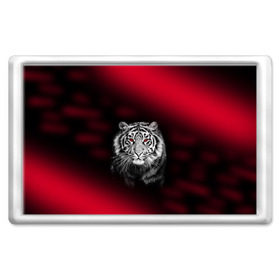 Магнит 45*70 с принтом Тигр красные глаза в Белгороде, Пластик | Размер: 78*52 мм; Размер печати: 70*45 | Тематика изображения на принте:  хищник | багровый | большая кошка | глаза. красные | красный | кровавый | тигр