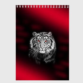 Скетчбук с принтом Тигр красные глаза в Белгороде, 100% бумага
 | 48 листов, плотность листов — 100 г/м2, плотность картонной обложки — 250 г/м2. Листы скреплены сверху удобной пружинной спиралью |  хищник | багровый | большая кошка | глаза. красные | красный | кровавый | тигр
