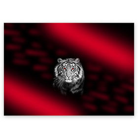 Поздравительная открытка с принтом Тигр красные глаза в Белгороде, 100% бумага | плотность бумаги 280 г/м2, матовая, на обратной стороне линовка и место для марки
 | Тематика изображения на принте:  хищник | багровый | большая кошка | глаза. красные | красный | кровавый | тигр