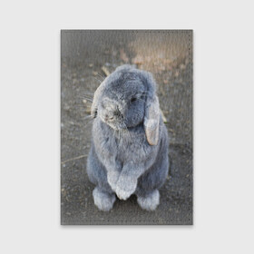 Обложка для паспорта матовая кожа с принтом Кролик в Белгороде, натуральная матовая кожа | размер 19,3 х 13,7 см; прозрачные пластиковые крепления | Тематика изображения на принте: грызун | животные | заяц | кролик | мордочка | природа | пушистый | уши