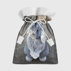 Подарочный 3D мешок с принтом Кролик в Белгороде, 100% полиэстер | Размер: 29*39 см | грызун | животные | заяц | кролик | мордочка | природа | пушистый | уши