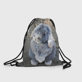 Рюкзак-мешок 3D с принтом Кролик в Белгороде, 100% полиэстер | плотность ткани — 200 г/м2, размер — 35 х 45 см; лямки — толстые шнурки, застежка на шнуровке, без карманов и подкладки | Тематика изображения на принте: грызун | животные | заяц | кролик | мордочка | природа | пушистый | уши
