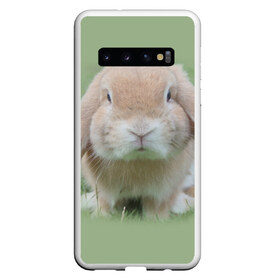 Чехол для Samsung Galaxy S10 с принтом Кролик в Белгороде, Силикон | Область печати: задняя сторона чехла, без боковых панелей | Тематика изображения на принте: грызун | животные | заяц | кролик | мордочка | природа | пушистый | уши