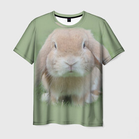 Мужская футболка 3D с принтом Кролик в Белгороде, 100% полиэфир | прямой крой, круглый вырез горловины, длина до линии бедер | грызун | животные | заяц | кролик | мордочка | природа | пушистый | уши