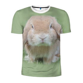 Мужская футболка 3D спортивная с принтом Кролик в Белгороде, 100% полиэстер с улучшенными характеристиками | приталенный силуэт, круглая горловина, широкие плечи, сужается к линии бедра | грызун | животные | заяц | кролик | мордочка | природа | пушистый | уши