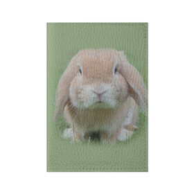 Обложка для паспорта матовая кожа с принтом Кролик в Белгороде, натуральная матовая кожа | размер 19,3 х 13,7 см; прозрачные пластиковые крепления | Тематика изображения на принте: грызун | животные | заяц | кролик | мордочка | природа | пушистый | уши
