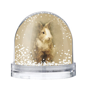Водяной шар с принтом Кролик в Белгороде, Пластик | Изображение внутри шара печатается на глянцевой фотобумаге с двух сторон | грызун | животные | заяц | кролик | мордочка | природа | пушистый | уши