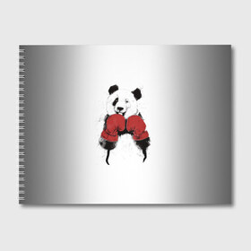 Альбом для рисования с принтом Панда боксер в Белгороде, 100% бумага
 | матовая бумага, плотность 200 мг. | бамбук | бамбуковый медведь | бокс | боксерские | брызги | енот | животное | коала | красивый | красная книга | кунгфу | медведь | милый | мишка | очки | панда | перчатки | пот | прикол | прикольный