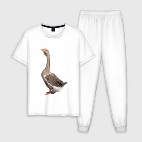 Мужская пижама хлопок с принтом Gus power в Белгороде, 100% хлопок | брюки и футболка прямого кроя, без карманов, на брюках мягкая резинка на поясе и по низу штанин
 | белый | гуси | животные | птицы