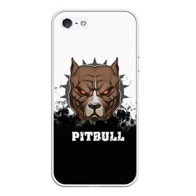 Чехол для iPhone 5/5S матовый с принтом Pitbull в Белгороде, Силикон | Область печати: задняя сторона чехла, без боковых панелей | Тематика изображения на принте: 3d | dog | pitbull | абстракция | животные | краска | собака | черно белый