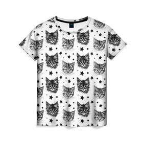 Женская футболка 3D с принтом Котики в Белгороде, 100% полиэфир ( синтетическое хлопкоподобное полотно) | прямой крой, круглый вырез горловины, длина до линии бедер | звезды | кот | котенок | котик | котики | котята | кошка | орнамент | узор