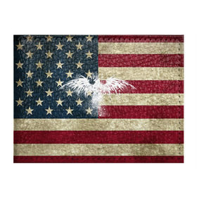 Обложка для студенческого билета с принтом Флаг США с белым орлом в Белгороде, натуральная кожа | Размер: 11*8 см; Печать на всей внешней стороне | usa | америка | американец | америки | звездно полосатый | необычный | нью йорк | орел | соединенные | сша | флаг | штаты | янки