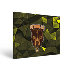 Холст прямоугольный с принтом Pitbulls в Белгороде, 100% ПВХ |  | dog | pitbulls | абстракция | геометрия | животные | собака | треугольники | цепь