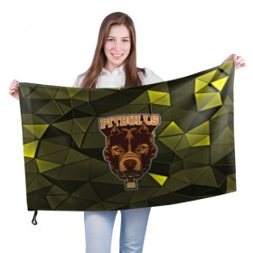 Флаг 3D с принтом Pitbulls в Белгороде, 100% полиэстер | плотность ткани — 95 г/м2, размер — 67 х 109 см. Принт наносится с одной стороны | dog | pitbulls | абстракция | геометрия | животные | собака | треугольники | цепь