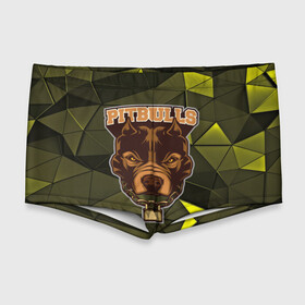 Мужские купальные плавки 3D с принтом Pitbulls в Белгороде, Полиэстер 85%, Спандекс 15% |  | dog | pitbulls | абстракция | геометрия | животные | собака | треугольники | цепь