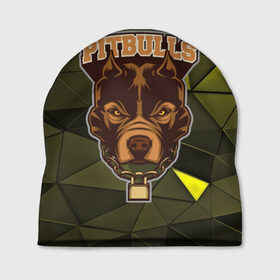 Шапка 3D с принтом Pitbulls в Белгороде, 100% полиэстер | универсальный размер, печать по всей поверхности изделия | dog | pitbulls | абстракция | геометрия | животные | собака | треугольники | цепь