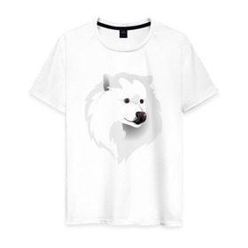 Мужская футболка хлопок с принтом Самоед в Белгороде, 100% хлопок | прямой крой, круглый вырез горловины, длина до линии бедер, слегка спущенное плечо. | ездовая собака | ес | лайка | самоедская собака