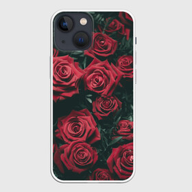Чехол для iPhone 13 mini с принтом Бархатные розы в Белгороде,  |  | Тематика изображения на принте: бархат | бутоны | роза | розы | цветы