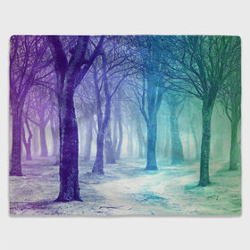 Плед 3D с принтом Мрачный лес в Белгороде, 100% полиэстер | закругленные углы, все края обработаны. Ткань не мнется и не растягивается | вечер | деревья | загадочный | зеленый | земля | зима | лес | необычный | природа | свет | свечение | сибирь | снег | тайга | фиолетовый | яркий