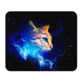Коврик прямоугольный с принтом Звездный кот в Белгороде, натуральный каучук | размер 230 х 185 мм; запечатка лицевой стороны | звезды | кот | мордочка | темный