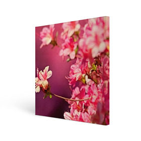 Холст квадратный с принтом Сакура в Белгороде, 100% ПВХ |  | 3d | flower | nature | pink | sakura | весна | деревья | природа | розовый | сакура | цветы | япония