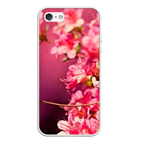 Чехол для iPhone 5/5S матовый с принтом Сакура в Белгороде, Силикон | Область печати: задняя сторона чехла, без боковых панелей | 3d | flower | nature | pink | sakura | весна | деревья | природа | розовый | сакура | цветы | япония