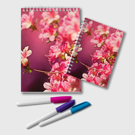 Блокнот с принтом Сакура в Белгороде, 100% бумага | 48 листов, плотность листов — 60 г/м2, плотность картонной обложки — 250 г/м2. Листы скреплены удобной пружинной спиралью. Цвет линий — светло-серый
 | Тематика изображения на принте: 3d | flower | nature | pink | sakura | весна | деревья | природа | розовый | сакура | цветы | япония