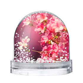 Снежный шар с принтом Сакура в Белгороде, Пластик | Изображение внутри шара печатается на глянцевой фотобумаге с двух сторон | 3d | flower | nature | pink | sakura | весна | деревья | природа | розовый | сакура | цветы | япония