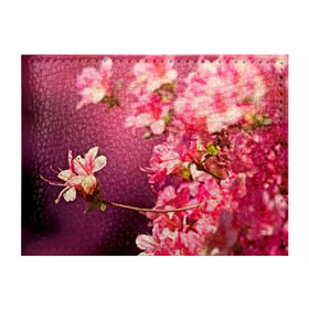 Обложка для студенческого билета с принтом Сакура в Белгороде, натуральная кожа | Размер: 11*8 см; Печать на всей внешней стороне | 3d | flower | nature | pink | sakura | весна | деревья | природа | розовый | сакура | цветы | япония