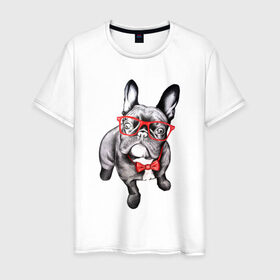 Мужская футболка хлопок с принтом Бульдог в Белгороде, 100% хлопок | прямой крой, круглый вырез горловины, длина до линии бедер, слегка спущенное плечо. | bulldog | dog | бабочка | бульдог в очках | в очках | дог | очки | собака