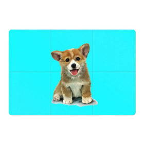 Магнитный плакат 3Х2 с принтом Корги в Белгороде, Полимерный материал с магнитным слоем | 6 деталей размером 9*9 см | corgy | dog | korgi | puppy | вельш корги | кардиган | коржик | пемброк | собака | щенок
