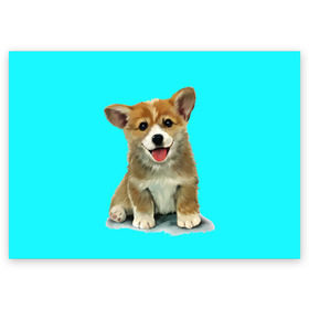 Поздравительная открытка с принтом Корги в Белгороде, 100% бумага | плотность бумаги 280 г/м2, матовая, на обратной стороне линовка и место для марки
 | Тематика изображения на принте: corgy | dog | korgi | puppy | вельш корги | кардиган | коржик | пемброк | собака | щенок