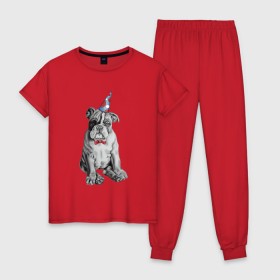Женская пижама хлопок с принтом праздничный бульдог в Белгороде, 100% хлопок | брюки и футболка прямого кроя, без карманов, на брюках мягкая резинка на поясе и по низу штанин | dog | happy | бабочка | бульдог | день рождение | дог | собака