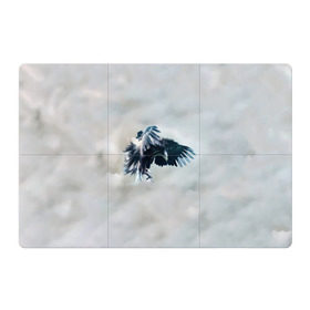 Магнитный плакат 3Х2 с принтом Орлиная атака в Белгороде, Полимерный материал с магнитным слоем | 6 деталей размером 9*9 см | клюв | коршун | крылья | небо | облака | опасность | орел | охота | полет. перья | птица | хищник