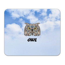Коврик прямоугольный с принтом Owl в Белгороде, натуральный каучук | размер 230 х 185 мм; запечатка лицевой стороны | owl | животные | полуночник | природа | сова | сыч | филин | этника