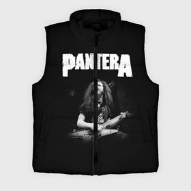 Мужской жилет утепленный 3D с принтом Pantera 72 в Белгороде,  |  | anselmo | darel | darell | darrel | darrell | dimebag | pantera | phil | ансельма | ансельмо | даймбег | даймбэг | дарел | дарелл | даррел | даррелл | даррэл | дарэл | дарэлл | пантера | фил