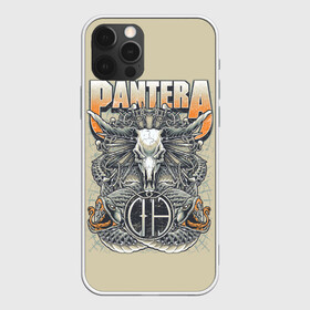 Чехол для iPhone 12 Pro с принтом Pantera #81 в Белгороде, силикон | область печати: задняя сторона чехла, без боковых панелей | anselmo | darel | darell | darrel | darrell | dimebag | pantera | phil | ансельма | ансельмо | даймбег | даймбэг | дарел | дарелл | даррел | даррелл | даррэл | дарэл | дарэлл | пантера | фил