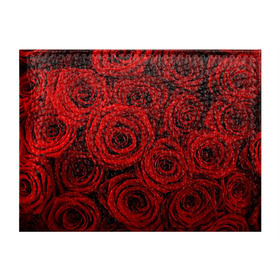Обложка для студенческого билета с принтом Красные розы в Белгороде, натуральная кожа | Размер: 11*8 см; Печать на всей внешней стороне | букет | красный | розы | цветы
