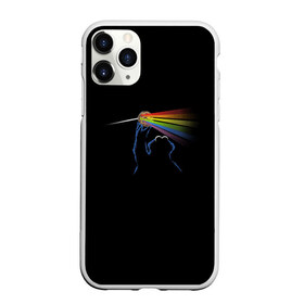 Чехол для iPhone 11 Pro матовый с принтом Pink Floyd Cookie Monster в Белгороде, Силикон |  | монстр | печеньки | улица сезам