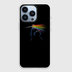 Чехол для iPhone 13 Pro с принтом Pink Floyd Cookie Monster в Белгороде,  |  | монстр | печеньки | улица сезам