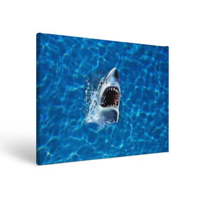 Холст прямоугольный с принтом Пасть акулы в Белгороде, 100% ПВХ |  | Тематика изображения на принте: акула | атака | белая | брызги | вода | волны | зубы | капли | море | океан | опасность | синяя | челюсти | эффект
