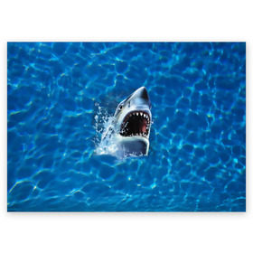 Поздравительная открытка с принтом Пасть акулы в Белгороде, 100% бумага | плотность бумаги 280 г/м2, матовая, на обратной стороне линовка и место для марки
 | Тематика изображения на принте: акула | атака | белая | брызги | вода | волны | зубы | капли | море | океан | опасность | синяя | челюсти | эффект