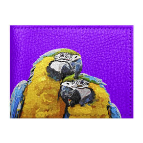 Обложка для студенческого билета с принтом Попугайчики в Белгороде, натуральная кожа | Размер: 11*8 см; Печать на всей внешней стороне | Тематика изображения на принте: bird | животные | попугайчики | птицы | текстуры