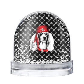 Водяной шар с принтом Пудель пират в Белгороде, Пластик | Изображение внутри шара печатается на глянцевой фотобумаге с двух сторон | animal | dog | pet | puppy | skull | арт | животные | пес | пират | пудель | собаки | текстура | череп